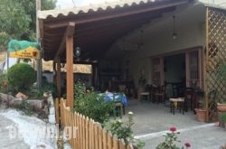 The Taste’s Turn in Corfu Chora, Corfu, Ionian Islands