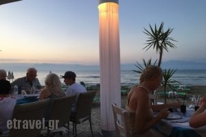 Nemo Cafe - Restaurant_food_in_Caf? and Bar___Roda