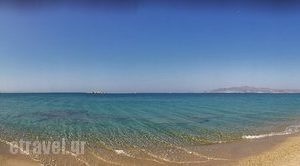 Voula Restaurant_food_in_Restaurant___Naxos