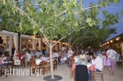 Poliou House in Eleftherna, Rethymnon, Crete