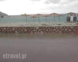 Vintage Wine Bar & Bistro_food_in_Restaurant___