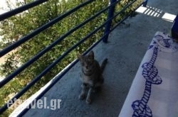 Taverna Psaropoula in Aspous, Skyros, Sporades Islands