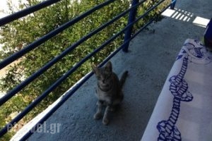 Taverna Psaropoula_food_in_Restaurant___Mpali