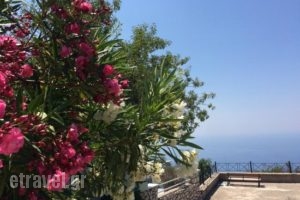 Rachi_food_in_Restaurant___Exanthia