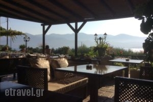 Apolafsi Bar and Restaurant_food_in_Restaurant___