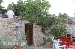 Delfys Taverna at Arolithos Traditional Cretan Village in Ammoudara, Heraklion, Crete