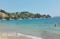 Salty Bone in Skiathos Chora, Skiathos, Sporades Islands