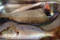 Stiva’s Restaurant in Kefalonia Rest Areas, Kefalonia, Ionian Islands