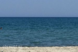 Amarlilides Restaurant_food_in_Restaurant___