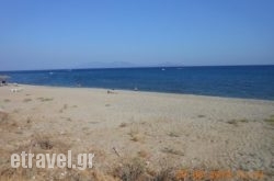 Big Mike’s Taverna in  Chalandri, Attica, Central Greece