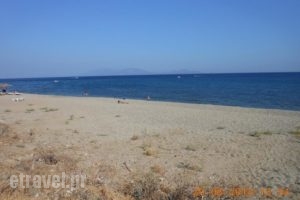 Big Mike's Taverna_food_in_Restaurant___