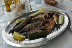 Taverna Mythos in Skopelos Rest Areas, Skopelos, Sporades Islands