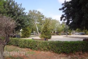 Sibosio_food_in_Restaurant___Saronida