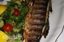 Molos Restaurant in  Glyfada, Attica, Central Greece