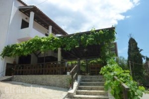 Squirrel Restaurant_food_in_Restaurant___Ipsos