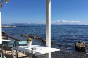 Flisvos Cafe_food_in_Restaurant___Kerkira