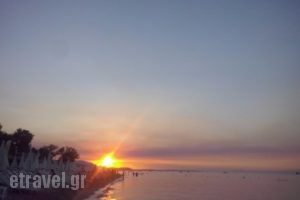 White Bar_food_in_Caf? and Bar___Pallini