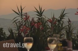 Fantasea Bar Restaurant in Thessaloniki City, Thessaloniki, Macedonia