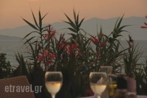 Fantasea Bar Restaurant_food_in_Restaurant___Agios Stefanos