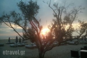 Riviera Beach Bar_food_in_Restaurant___Michaniona