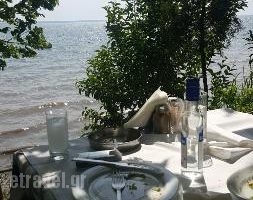 Thermaikos Fish Tavern_food_in_Restaurant___Kalamaria