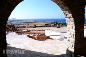 Taos Asian Bar Restaurant_food_in_Restaurant___