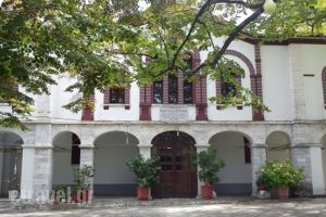 Taverna Agnanti_food_in_Restaurant___Tsagkarada