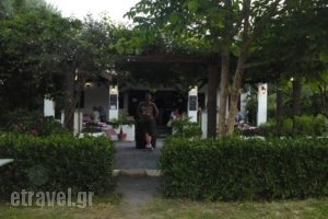 Taverna Dionysos_food_in_Restaurant___Mesoggi