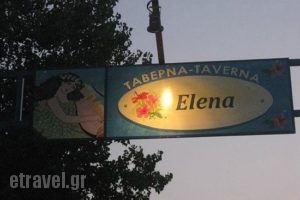 Elena_food_in_Restaurant___Geni