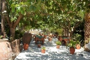 Taverna Faragi_food_in_Restaurant___
