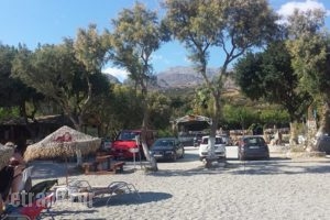 Taverna Galini Ellinas_food_in_Restaurant___