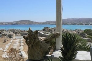 Taverna Kolymbithres_food_in_Restaurant___Kolimpithres