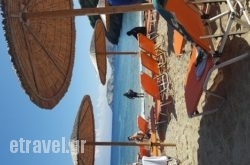 Taverna Bar Vasilis in Palaeokastritsa, Corfu, Ionian Islands