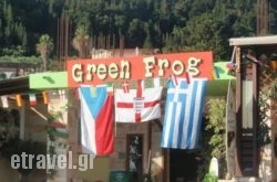 Green Frog in Thessaloniki City, Thessaloniki, Macedonia