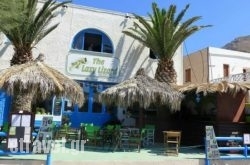 The Lazy Lizard in  Porto Rafti, Attica, Central Greece