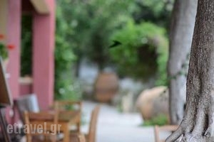 Vioporos_food_in_Restaurant___