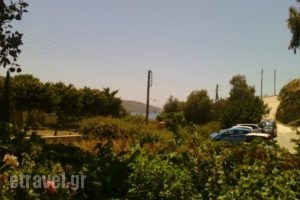 Akrogiali_food_in_Restaurant___