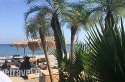 Ronda Restaurant & Beach Bar in Athens, Attica, Central Greece
