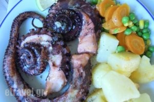 The Village Taverna_food_in_Restaurant___Moraitika