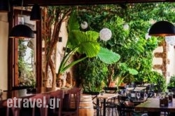 Monika’s Garden Wine Bar in Athens, Attica, Central Greece