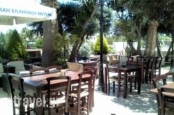 Theodora’s Garden in Athens, Attica, Central Greece