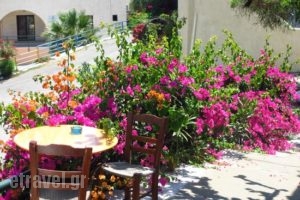 Tis Litsas Ta Kamomata_food_in_Restaurant___Afrata