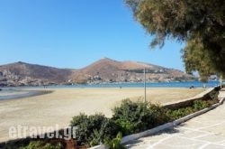 Spiros Restaurant in Athens, Attica, Central Greece