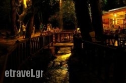 Tzitzikas in Katerini, Pieria, Macedonia