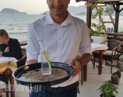 Horizon Restaurant_food_in_Restaurant___Laganas