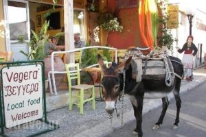 Vegera_food_in_Restaurant___Zaros