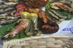 Amalthea Greek Tavern in Vasiliki, Lefkada, Ionian Islands