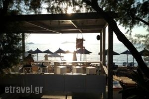 Yako All Day Bar Restuarant_food_in_Caf? and Bar___Petra