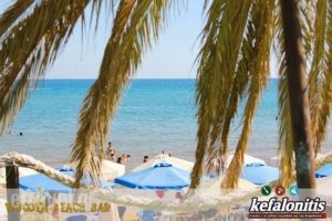 Wooden Beach Bar_food_in_Restaurant___Paliki