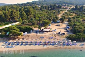 Summer Time_food_in_Caf? and Bar___Pallini